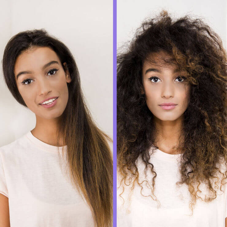 classic A DAFNI® - עודפי יצוא